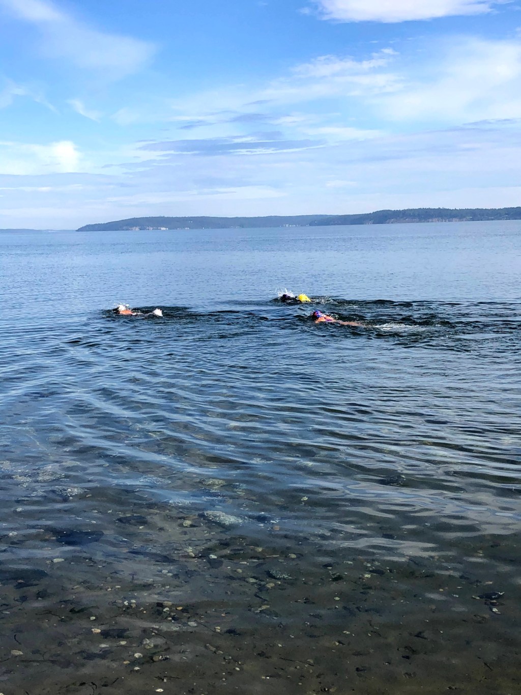 Open-Water Getting Some&nbsp;Press