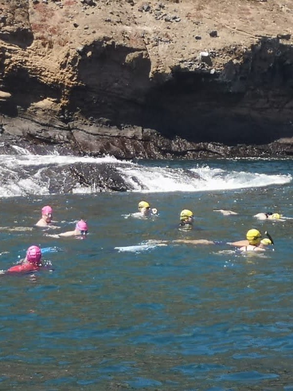 Galapagos Part 1: flies and sea water (and yes I saw&nbsp;penguins!)